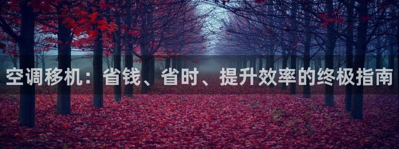 环球360手机版