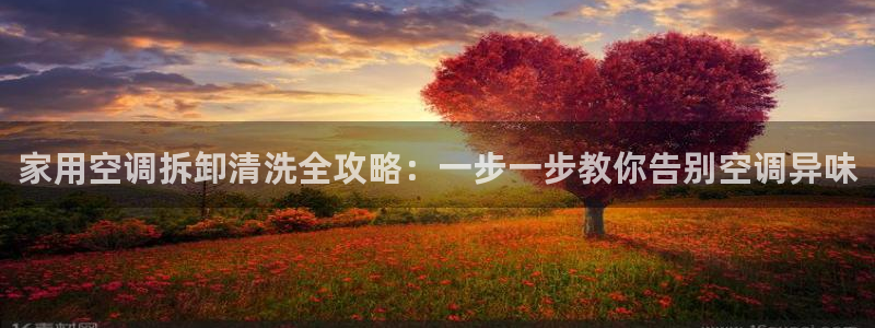环球360管理系统入口在哪